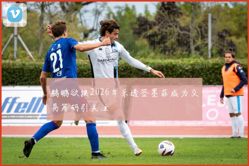 鹈鹕欲换2026年乐透签墨菲成为交易筹码引关注